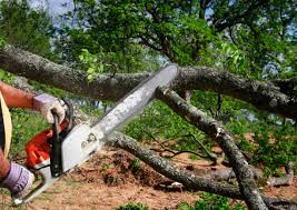 Soil Testing and Treatment in Fabens, TX